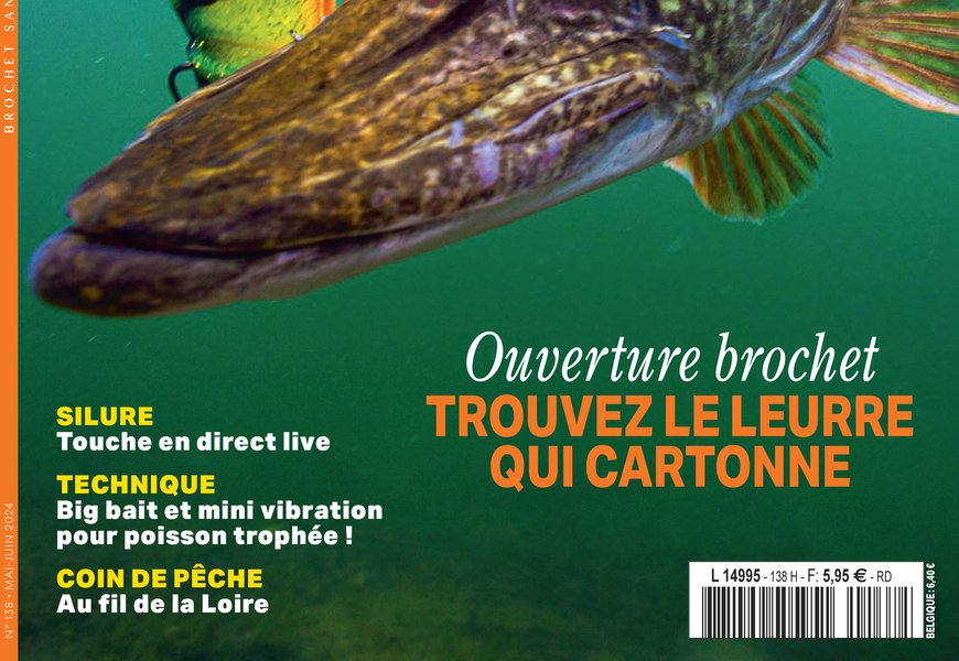 Les poissons nageurs : pêche aux leurres de type Crankbait - shallow Les poissons nageurs : pêche aux leurres de type Crankbait - shallow