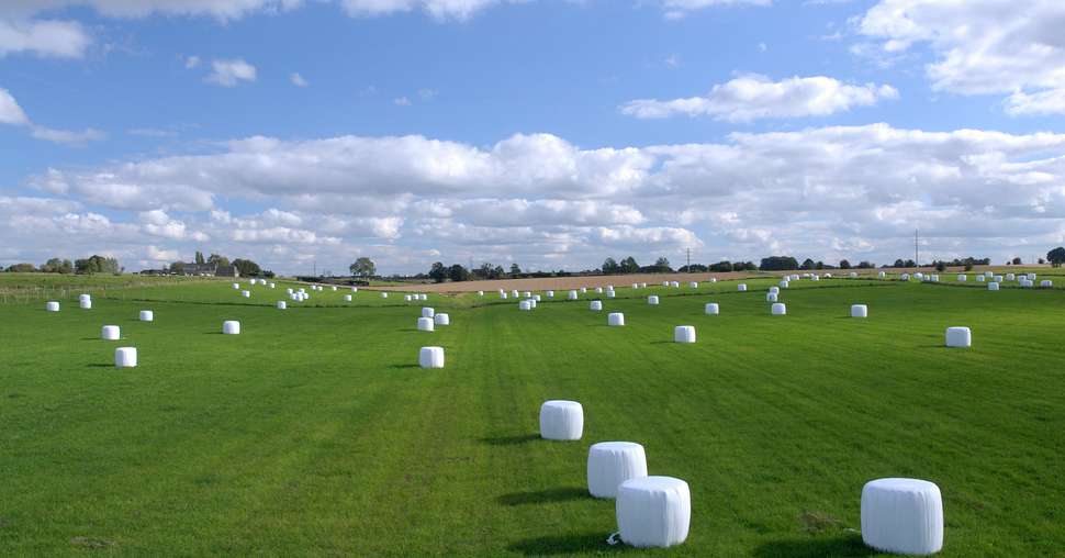 Balles de foins enrubannÃ©es dans une prairie