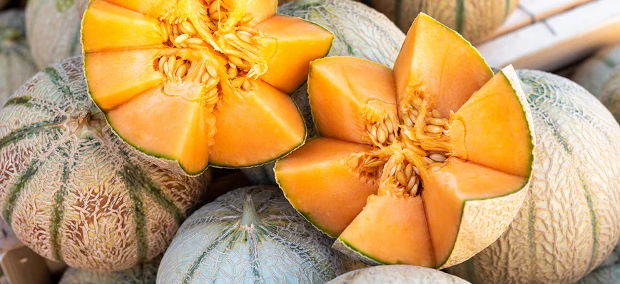 Melon charentais : l'interprofession rappelle la r