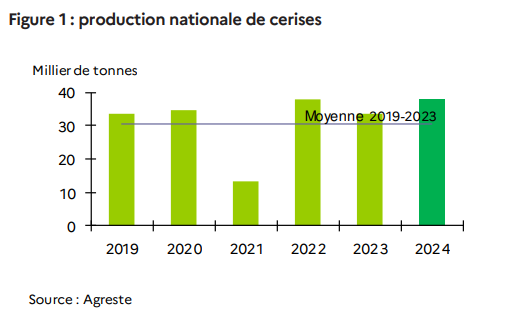 Production de cerises françaises de 2019 à 2024