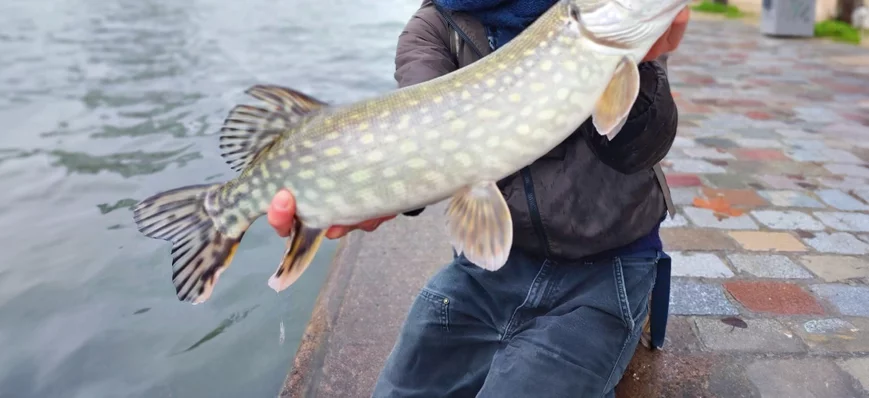 Street-fishing : à Paris aussi, la pêche est possi