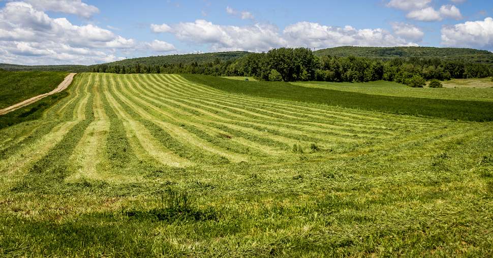 freshly cut hay field