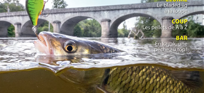 Gratuit : les 1ères pages du n°949 de La Pêche et 