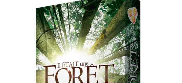 Il était une forêt, le jeu