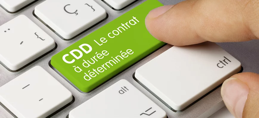 Auxiliaire vétérinaire et CDD, tout savoir en 5 po