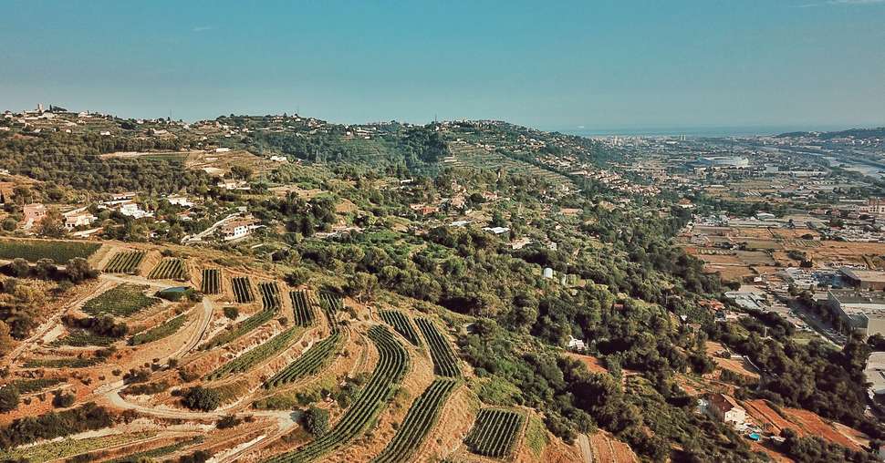 panorama appellation viticole Bellet