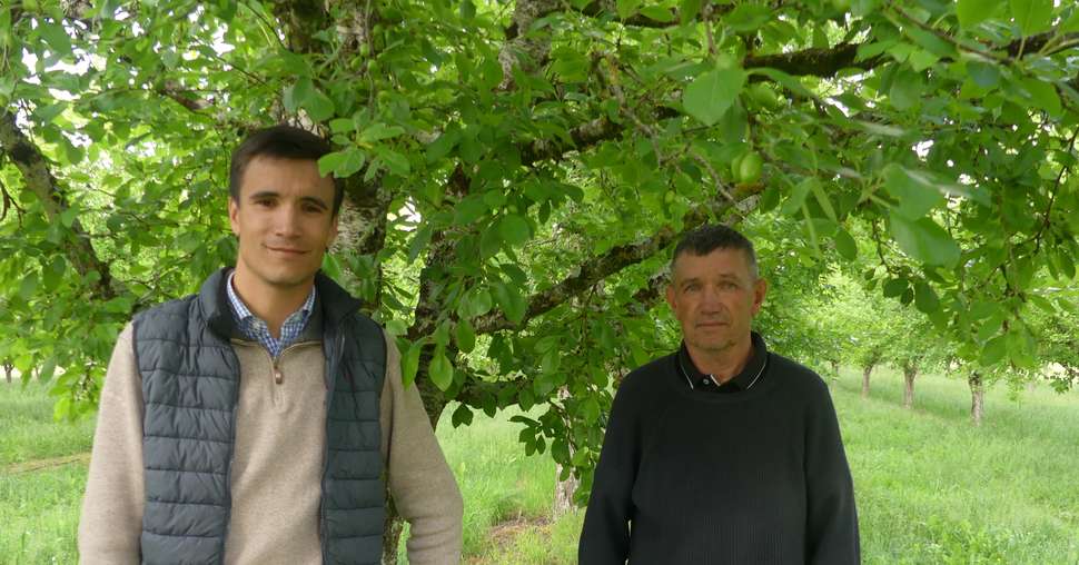 Portrait de Julien et Christophe Porrot vergers de Mondésir