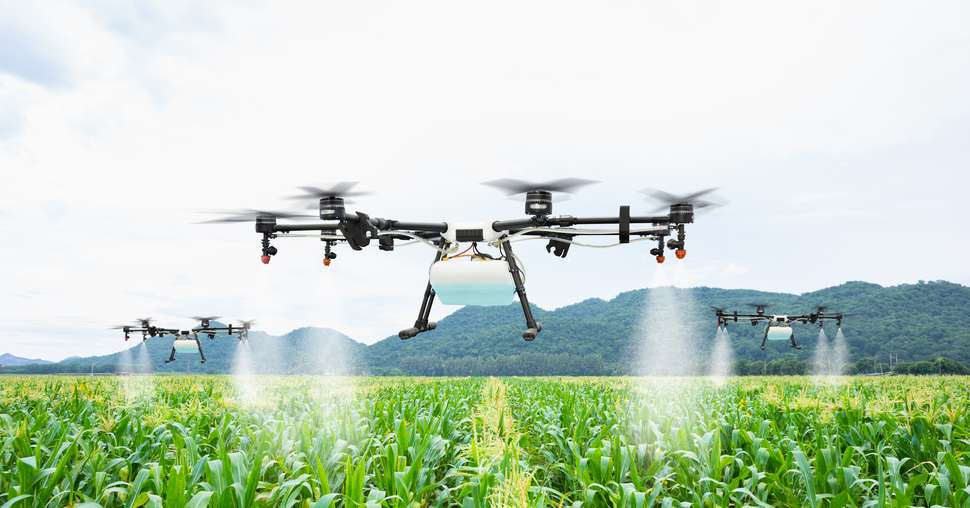 Agriculture drone fly to sprayed fertilizer on the sweet corn fi