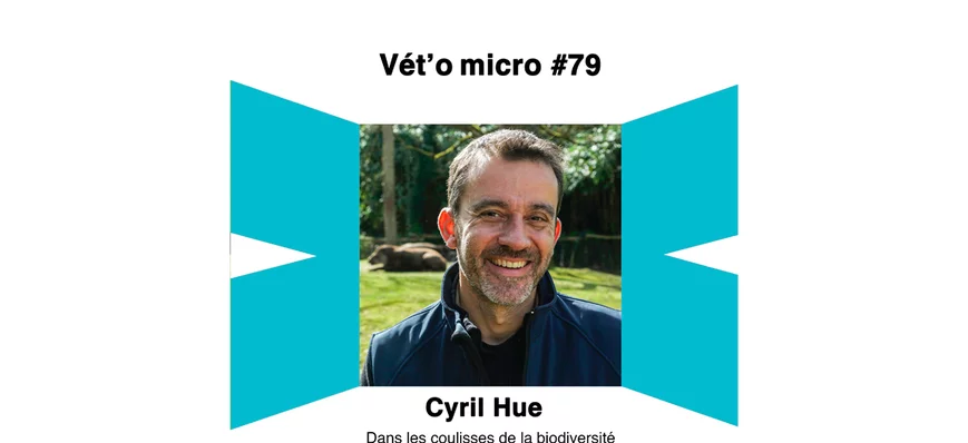 Épisode #79 - Cyril Hue - Dans les coulisses de la