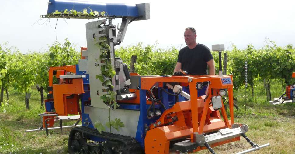Agilehelper, robot viticole de la société Pek Automotive