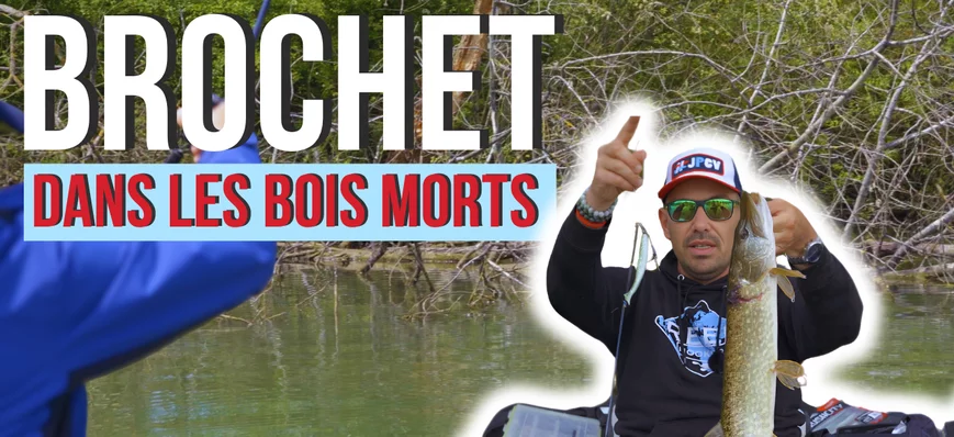 [TUTO] Bien pêcher le brochet dans les bois morts 