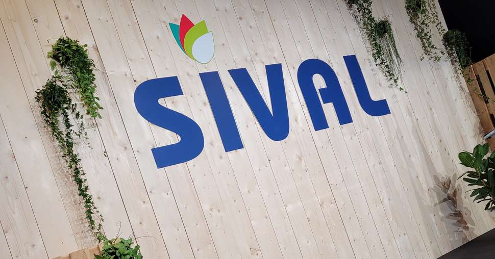 Sival