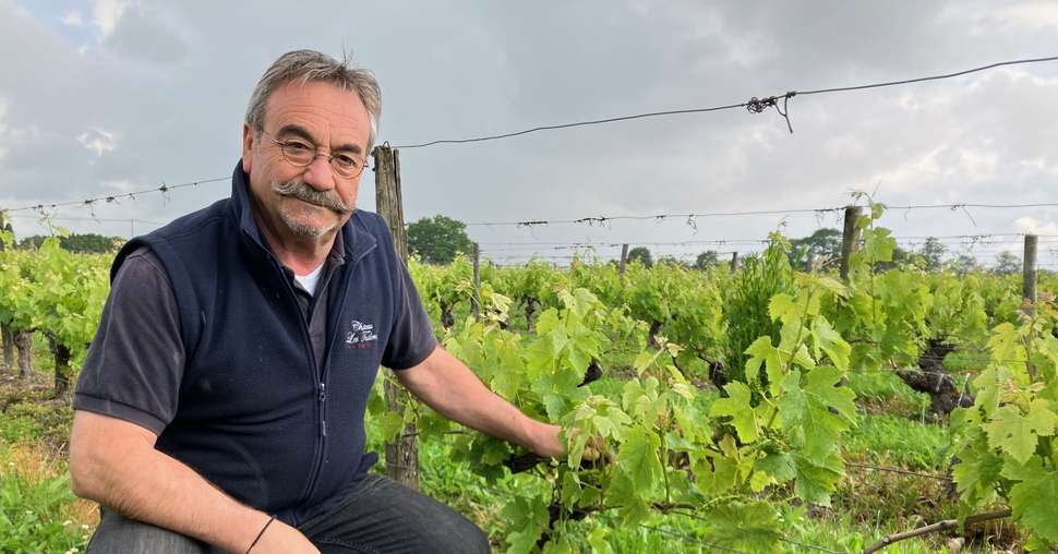 Jean-Luc Dartiguenave, vigneron à Saint-Yzans-de-Médoc, château Les Tuileries