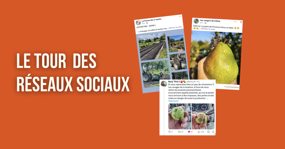 Tour des réseaux sociaux