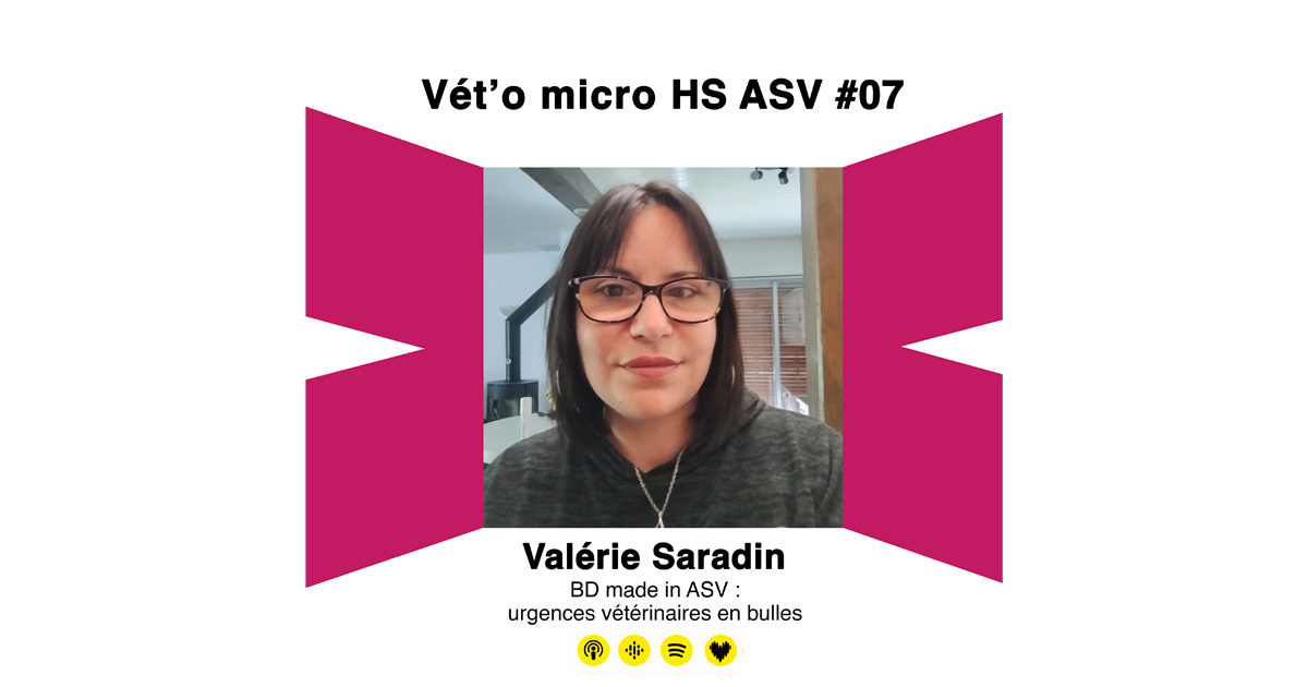HS ASV #07 - Valérie Saradin : BD made in ASV - ur...
