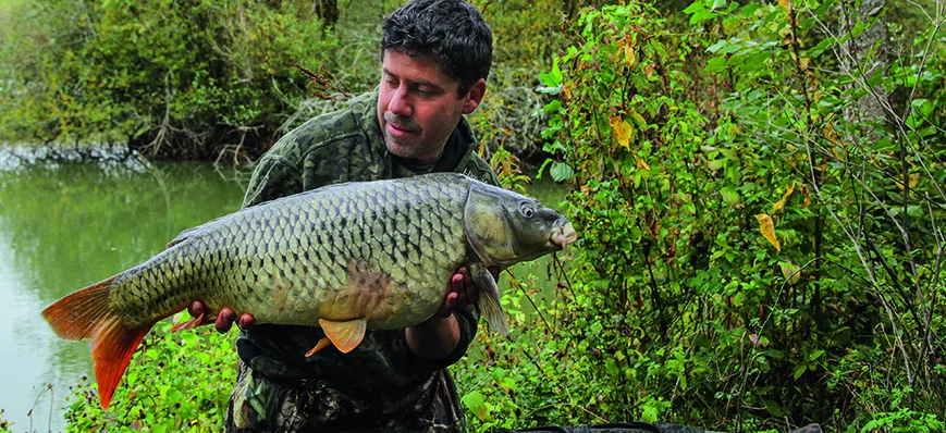 Pêche au method feeder : nos conseils pour l'autom