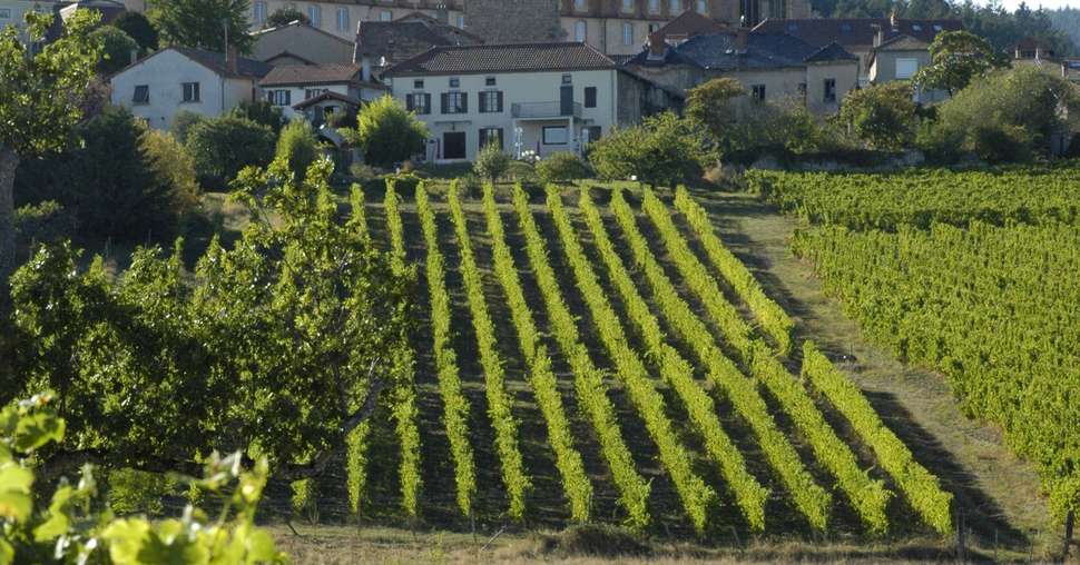 Ambierle en côte roannaise