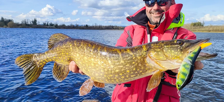 Pêche du brochet au glidebait : les conseils d'Arn