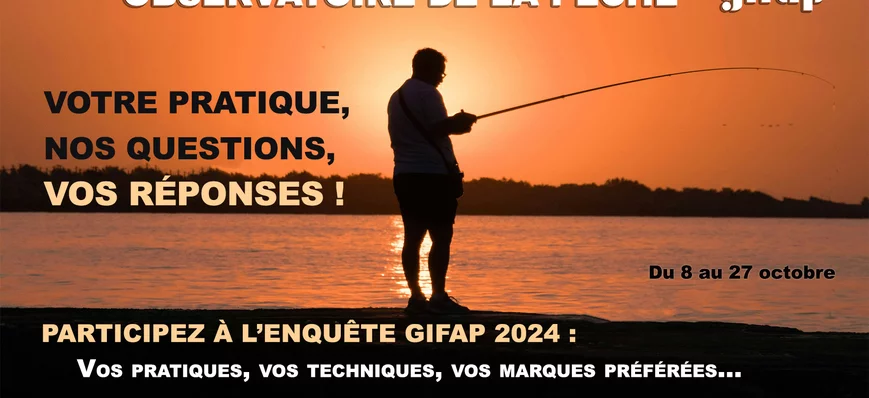 Grande enquête du GIFAP : Observatoire de la pêche