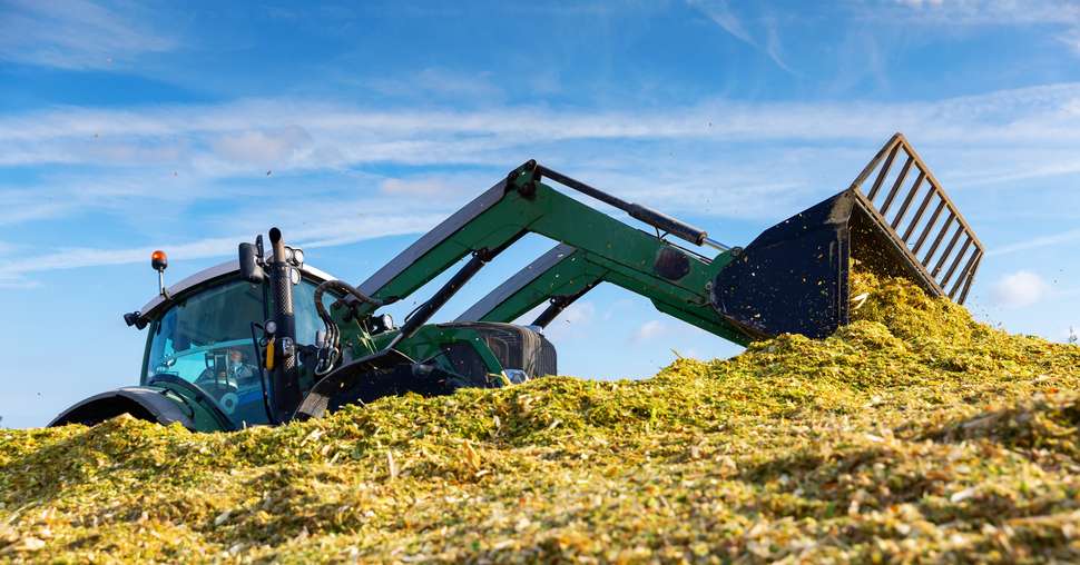 Tractor with front end loader preparing corn silage for cattle at a agricultural plant