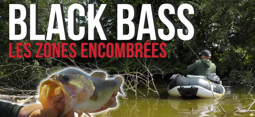 [TUTO] Pêche du BLACK-BASS dans les zones encombré