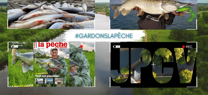 [ACTUS] #Gardonslapêche, la nouvelle émission NEWS