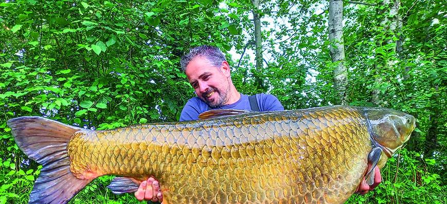 Un amour blanc record de 40,5 kg en Côte d'Or