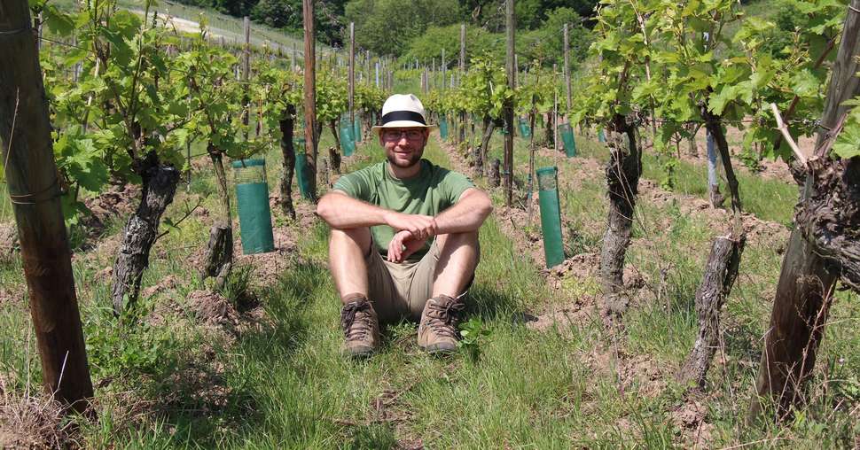 Julien Klein, vigneron en Alsace