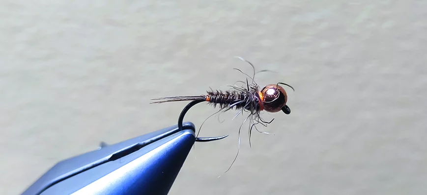 Les déclinaisons de pheasant tail : nymphe à bille