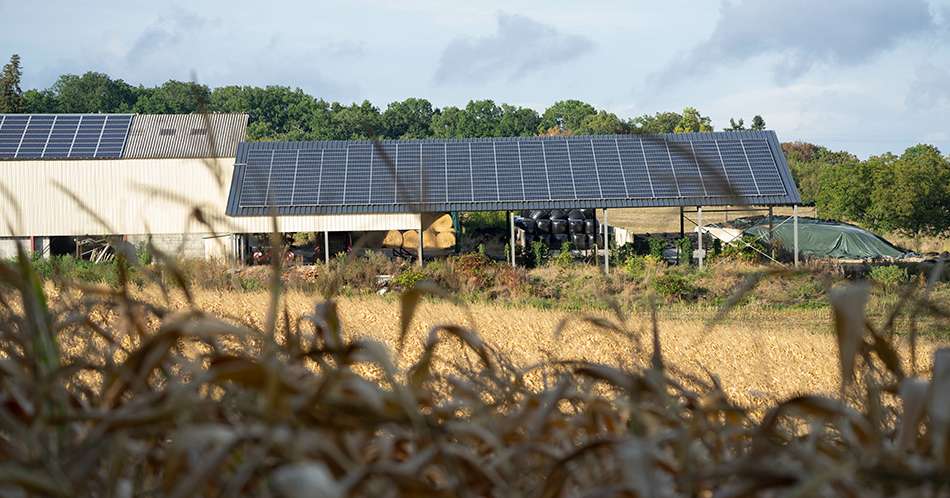 Des panneaux solaires installÃ©s sur le toit d'une ferme