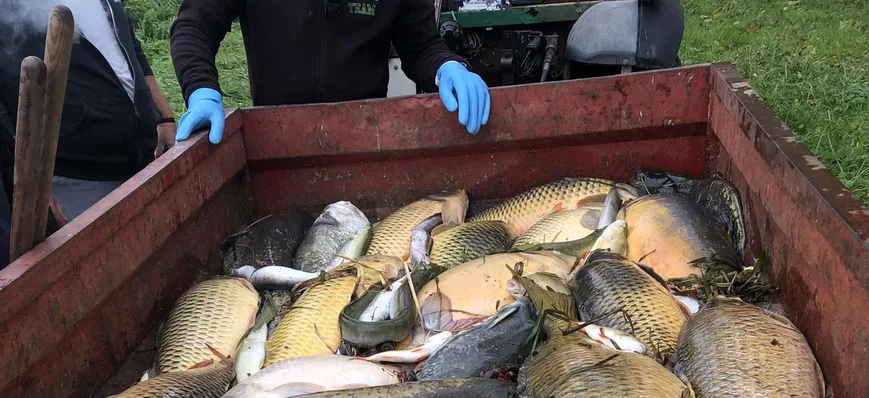 Pollution du canal du Loing en Seine-et-Marne : du