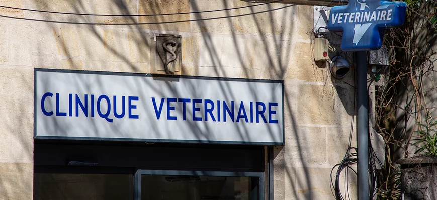 Les différents types de structures de soins vétéri