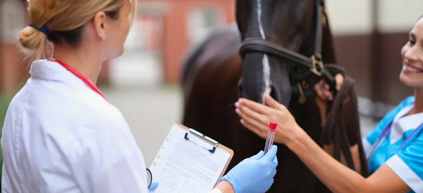 Alert’ : l’anémie infectieuse équine - retour en F