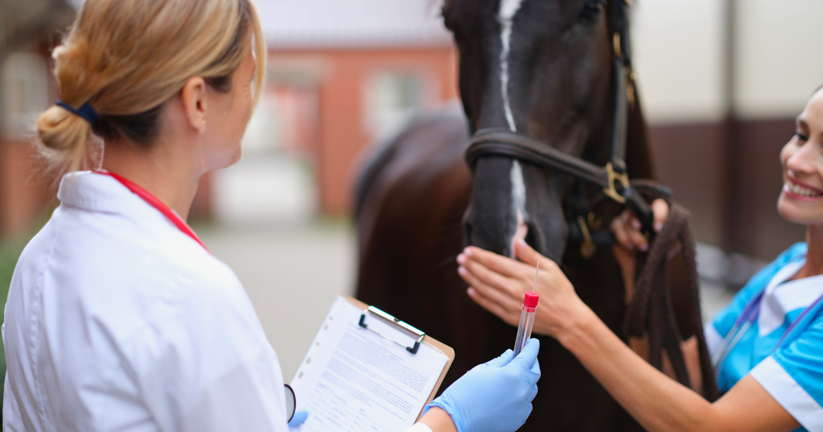 Alert’ : l’anémie infectieuse équine - retour en F...
