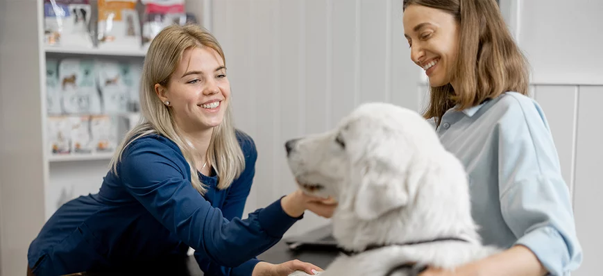 ASV : comment optimiser vos conseils saisonniers t