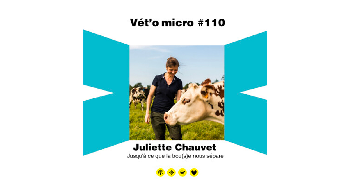 Épisode #110 - Juliette Chauvet : Jusqu’à ce que l...