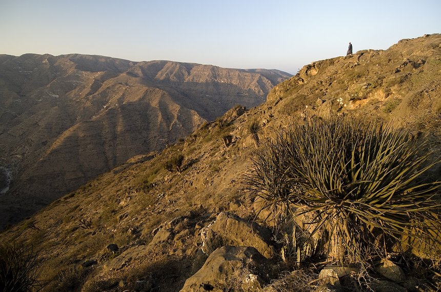 Gorges au nord de Al Mughsayl.