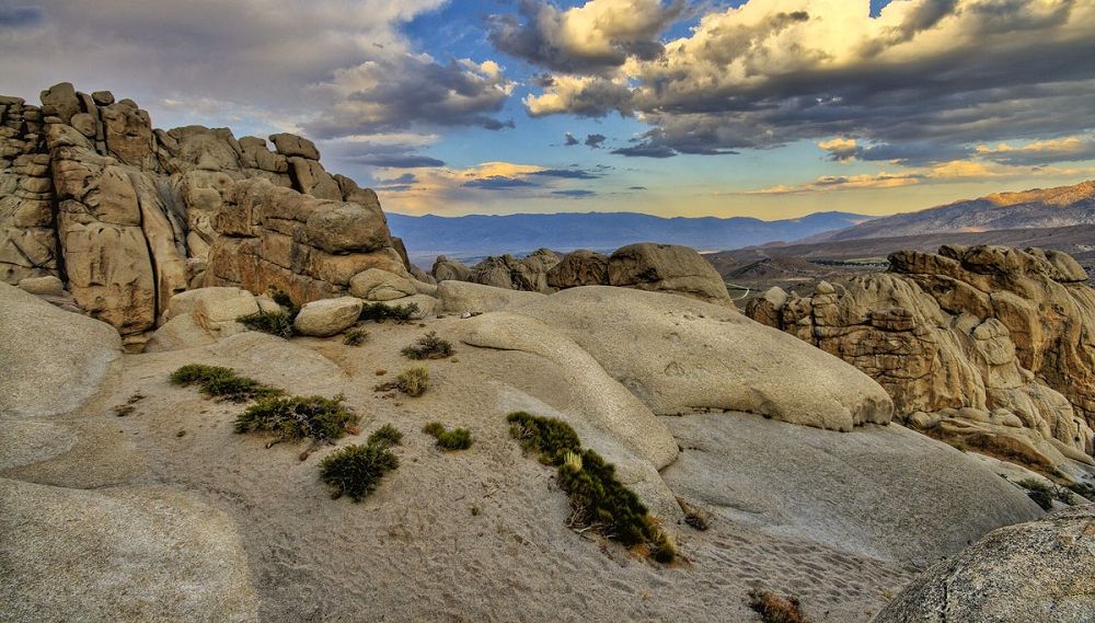 Buttermilks