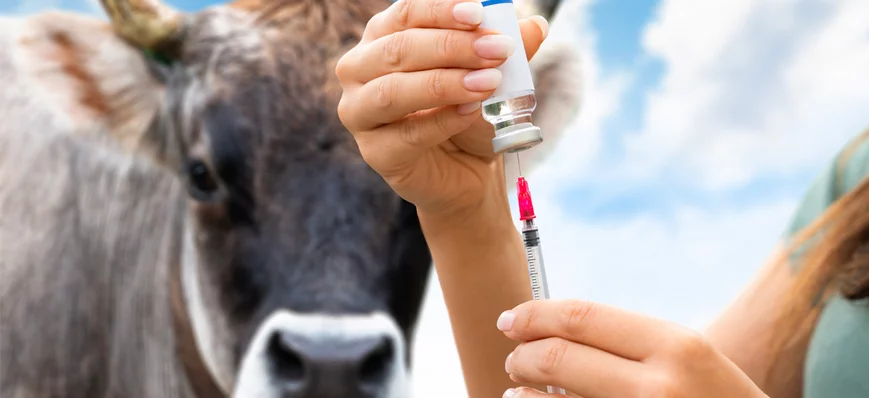 Temps d’attente et sécurité alimentaire : obligati