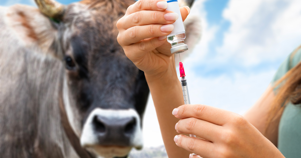 Temps d’attente et sécurité alimentaire : obligati...