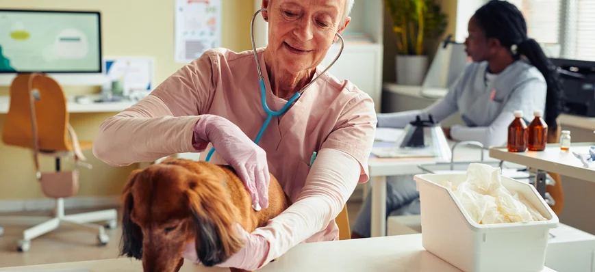 Retraite des vétérinaires salariés : mieux vaut pr