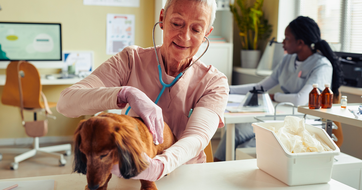 Retraite des vétérinaires salariés : mieux vaut pr...