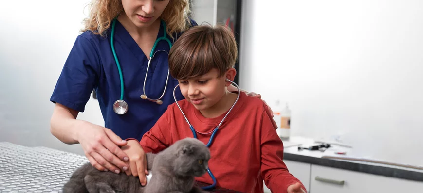 Vétérinaires et parents : faut-il montrer la réali