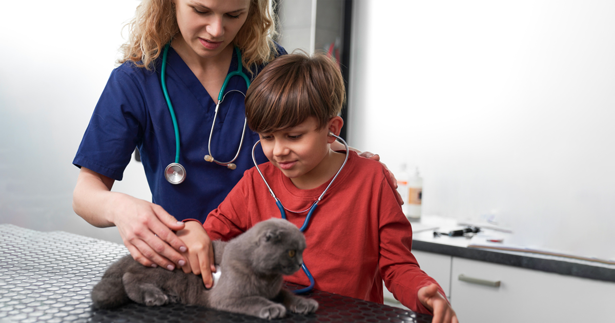Vétérinaires et parents : faut-il montrer la réali...