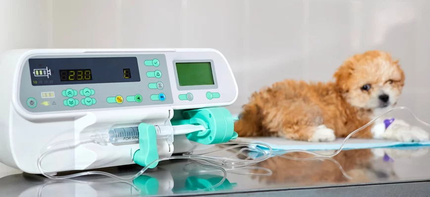 Pousse-seringues et pompes à perfusion vétérinaire