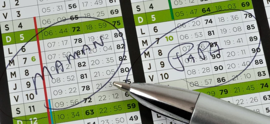 La garde alternée : un défi invisible pour les vét