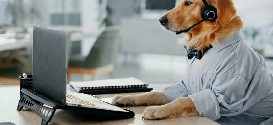 E-ASV en 2026 : et si le numérique devenait votre 