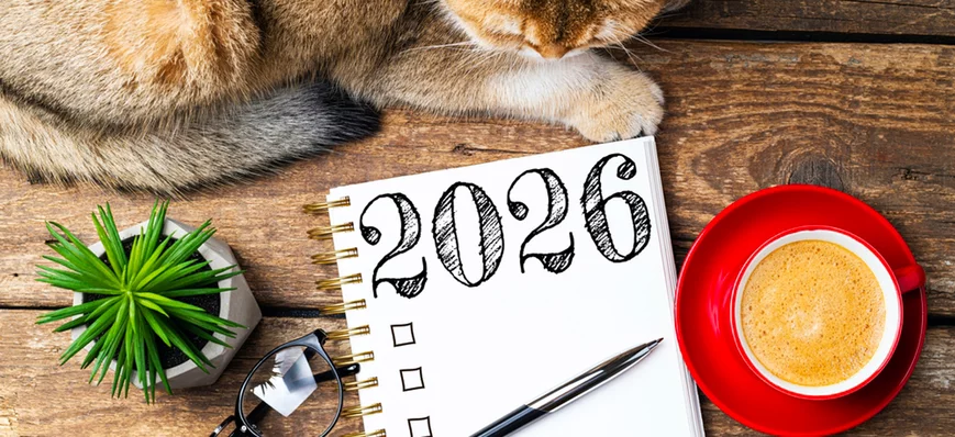 Bonnes résolutions au travail chez les vétérinaire