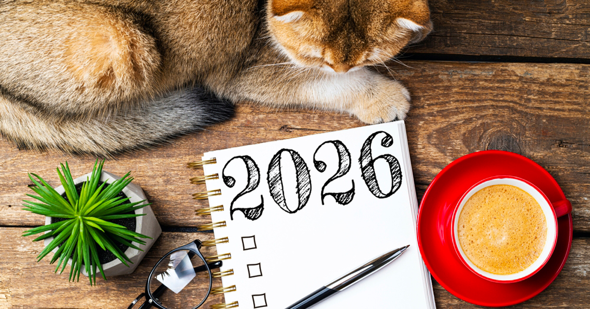 Bonnes résolutions au travail chez les vétérinaire...