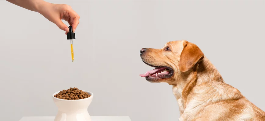 Aliments complémentaires en médecine vétérinaire :